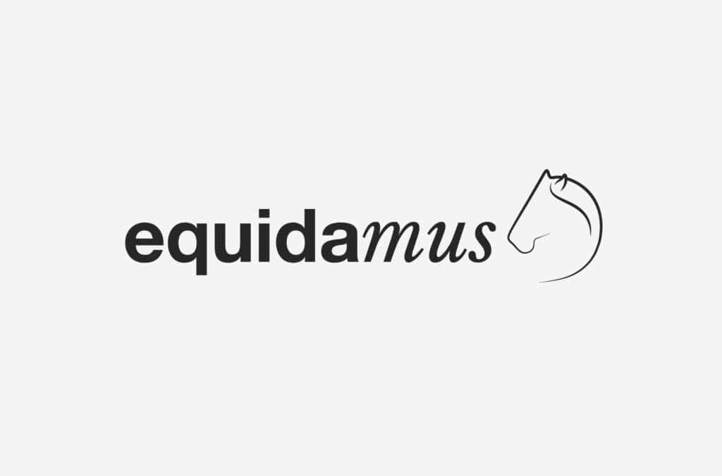 Equidamus dark frame gray