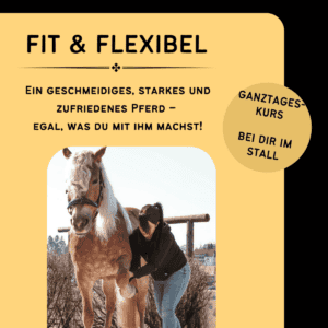 Fit und Flexibel – Dehnungs- und Stabilisationsübungen für dein Pferd