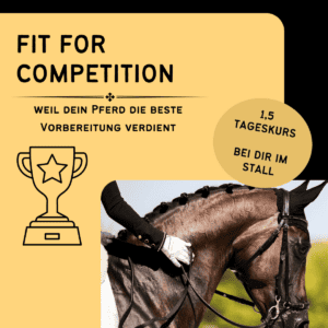 FIT FOR COMPETITION – Weil dein Pferd die beste Vorbereitung verdient