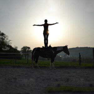 Reitkunst und Horsemanship – August 1 Tageskurs