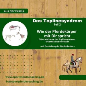 Das Topline Syndrom – Wie der Pferdekörper mit dir spricht