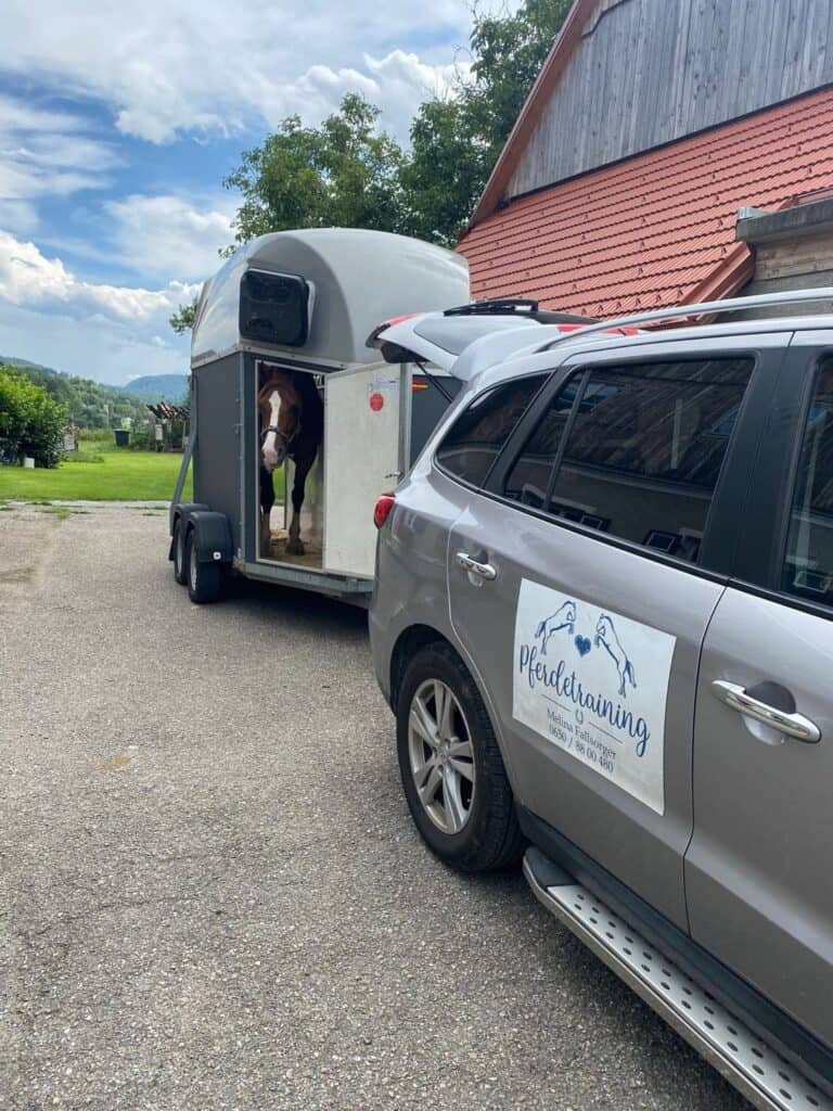 365580807 756120199854198 4628146620002805184 n