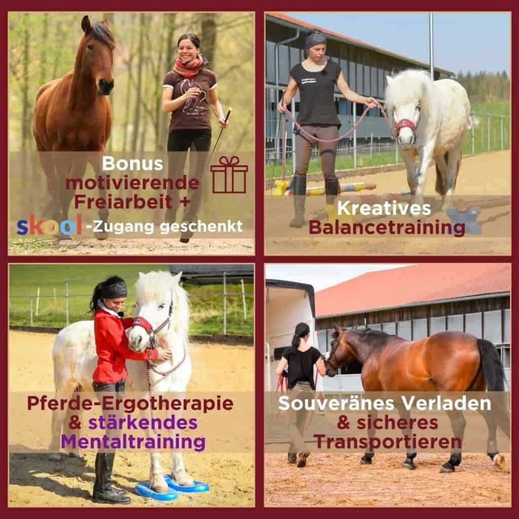 724bqc4eu1n5urzu45nhntjpbldo