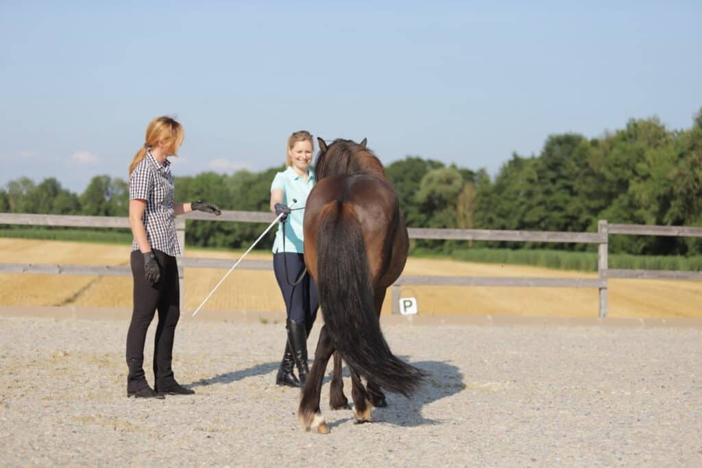 Foto 21.07.21 15 55 41