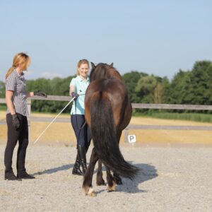 Longieren als Dialog nach OsteoDressage