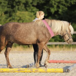 “Trainingstherapie” nach OsteoDressage