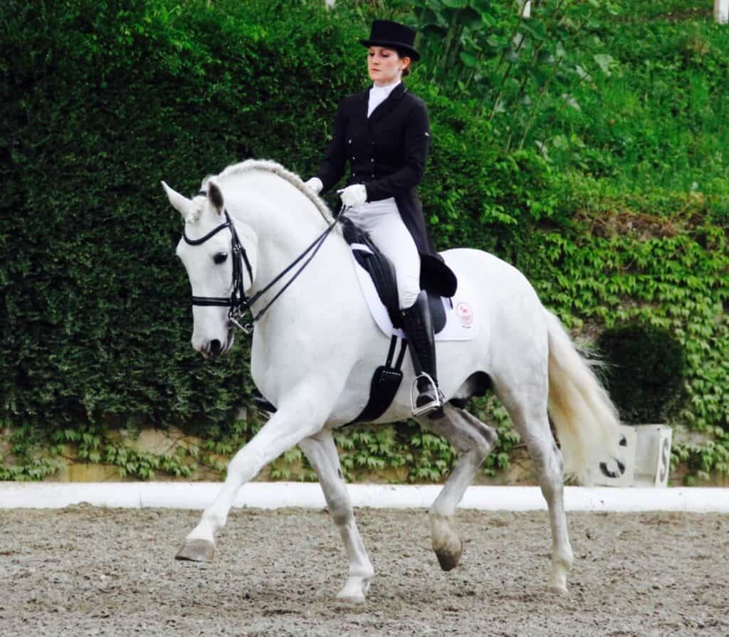 Foto 23.04.16 18 01 36 bearbeitet