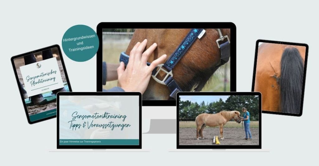 Mockup Sensomotoriktraining
