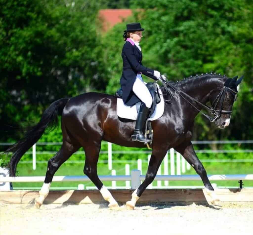 Screenshot 20220611 211041 Facebook