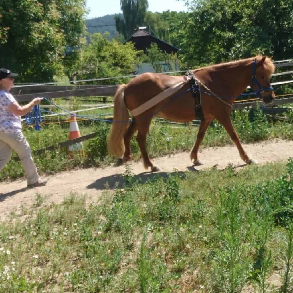 WhatsApp Bild 2025 02 26 um 15.32.49 51a0dd99