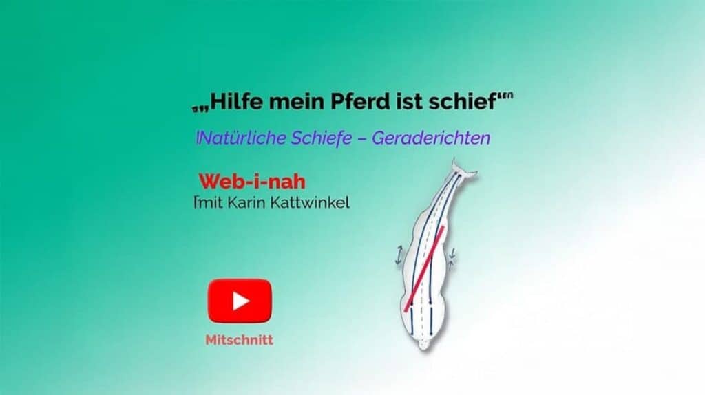 F55029 fe16d92ae6f24bacab9f06c94cf4b10fmv2