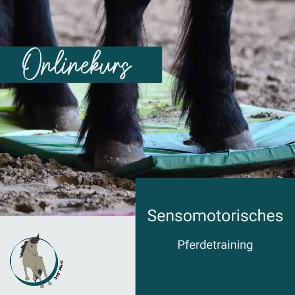 Vbq7tUo5ooEyqxkqveFcoA72