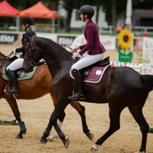 Individueller Beritt und professionelle Pferdeausbildung – Vollberitt
