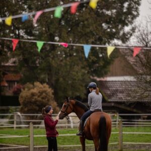 Intensivtraining für dich und dein Pferd