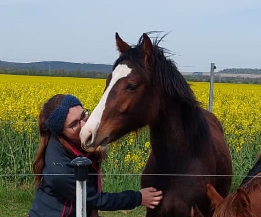 4d8a74cb 2fd7 40e1 949e 5e43628126e4