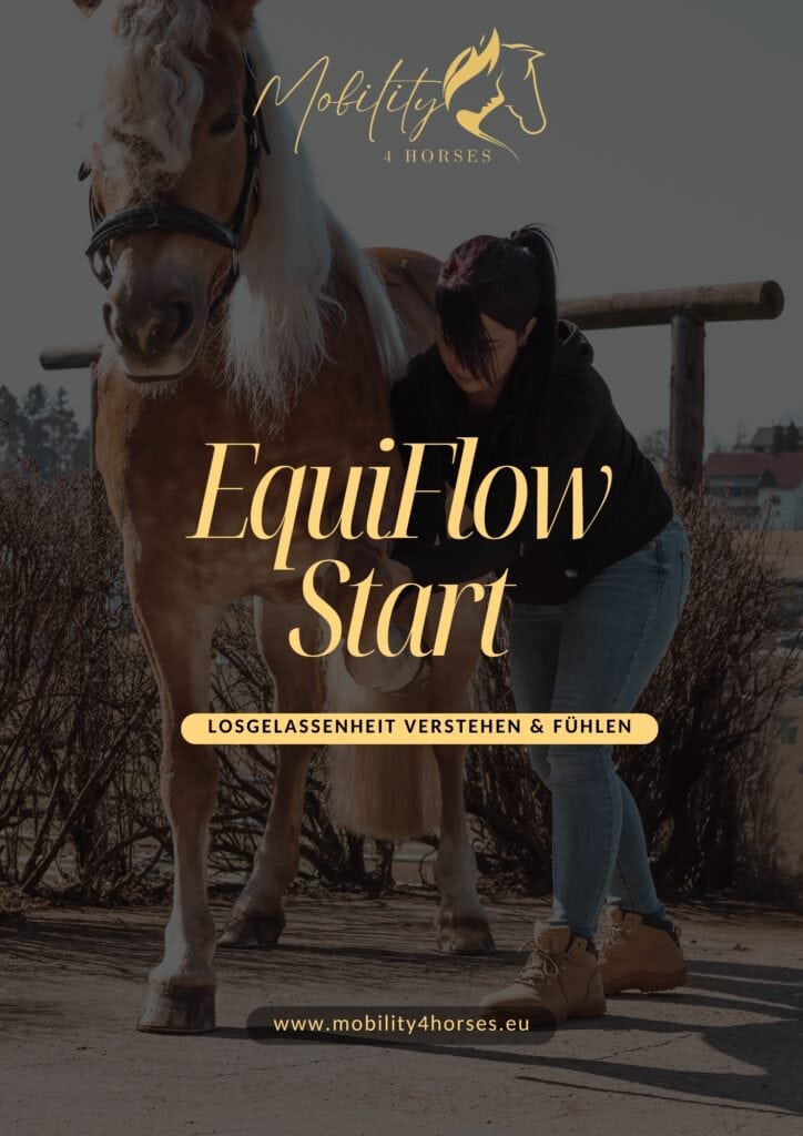 Titelbild EquiFlow Start