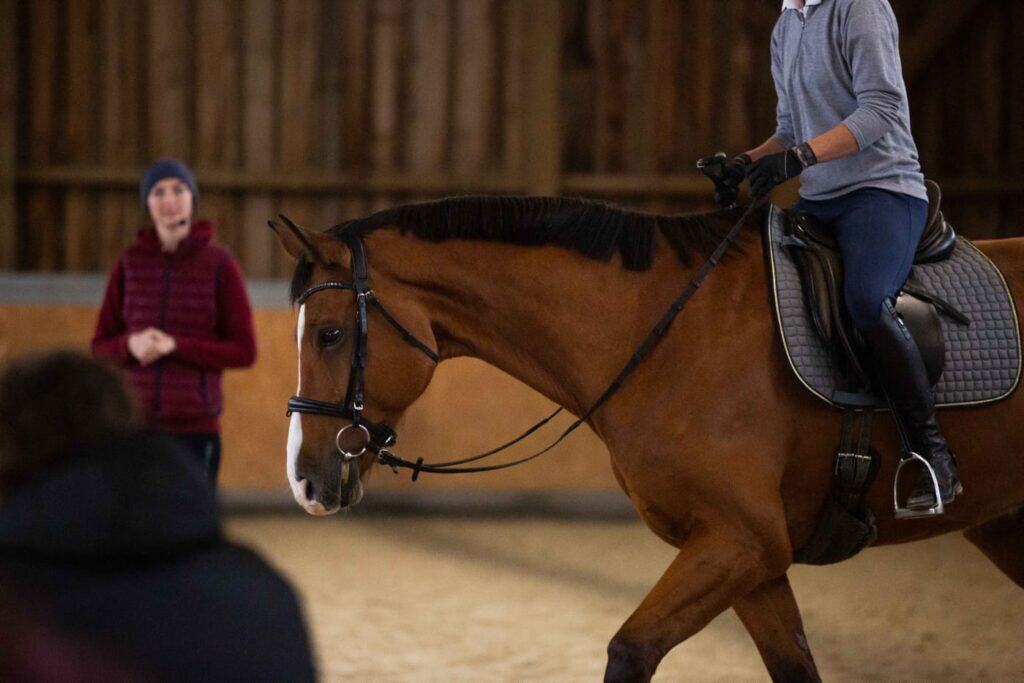 Whatsapp image 2025 05 27 at 11.37.50 2 1