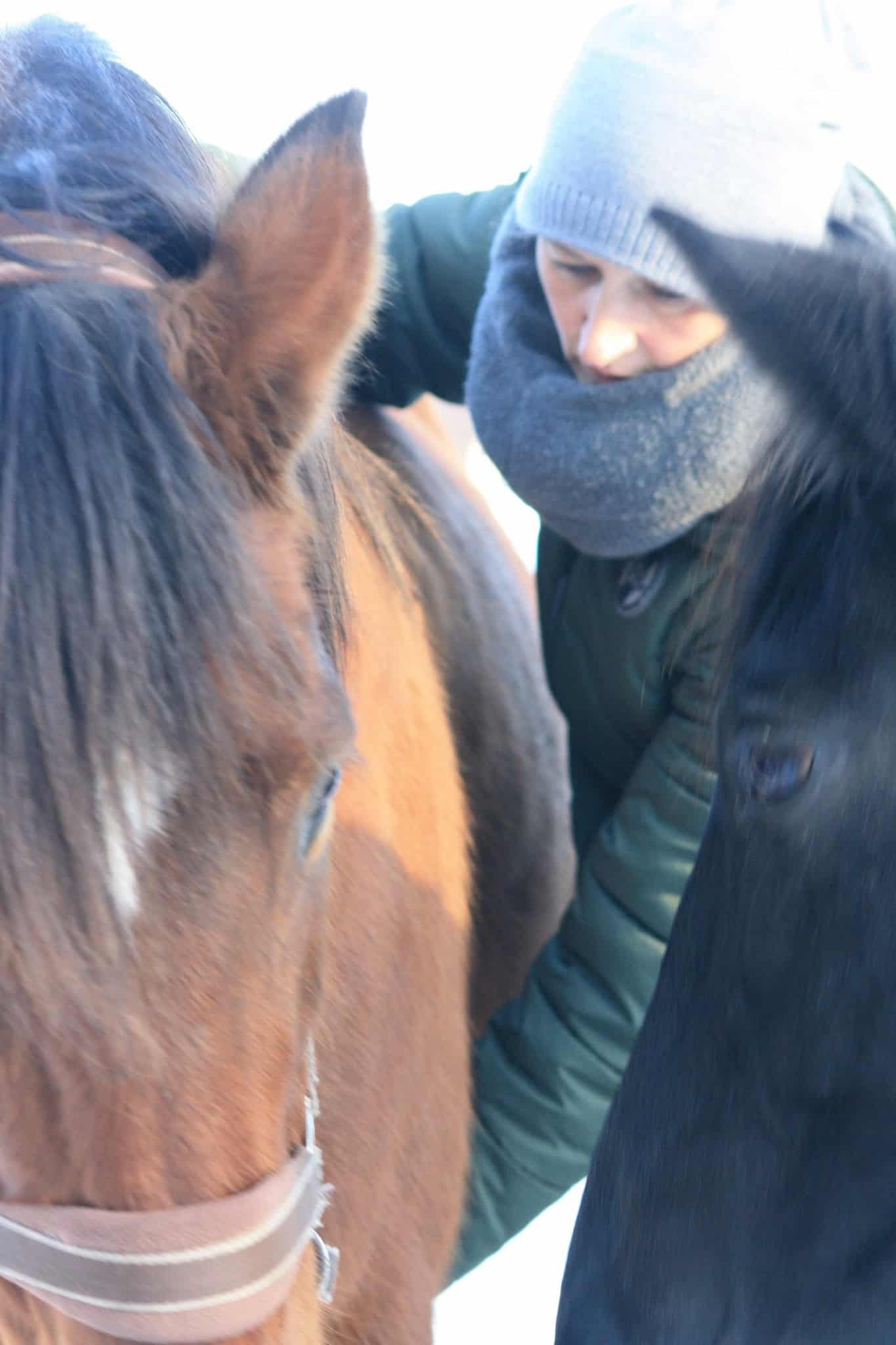 178666077 3982663938482703 3955430864174903139 n