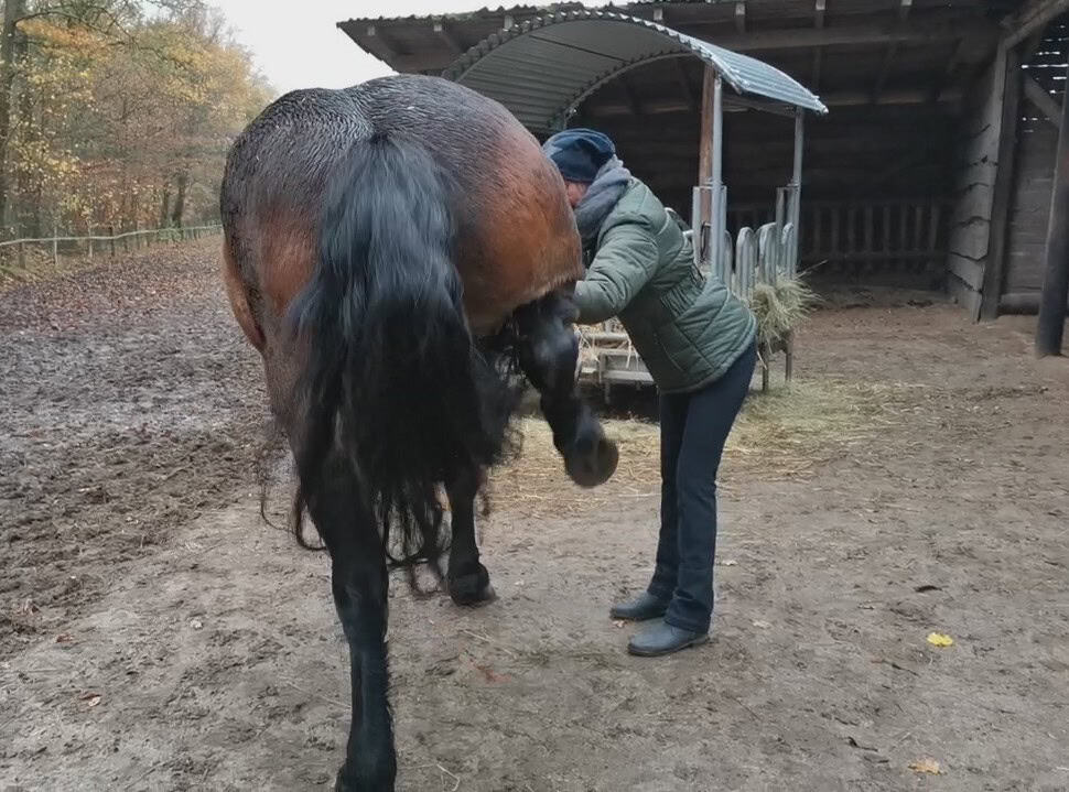 6685c69f 1840 4d34 aa41 8eaa75b35c8b Moment10