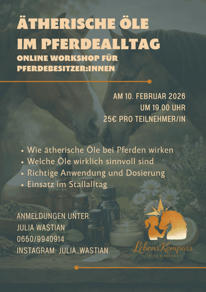 Flyer A4 Yoga Studio Workshop Ankuendigung Weiss Foto Modern Minimalistisch