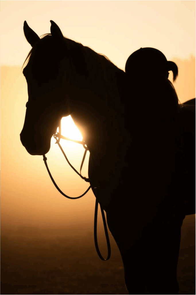 2.Advent Post pic female