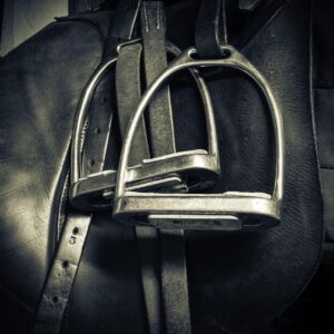 Lunarseaart stirrups 2185222