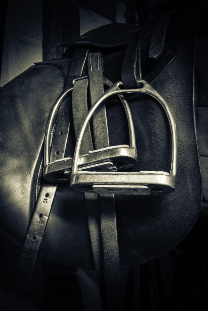 Lunarseaart stirrups 2185222