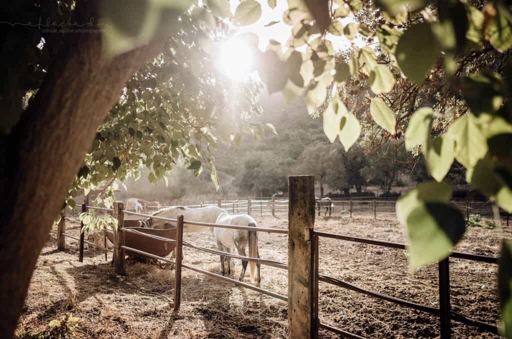 Reitenundyoga 19.10.23 44 web