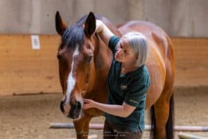 IMG 7394 DxO DeepPRIME XD2s XD 2 min