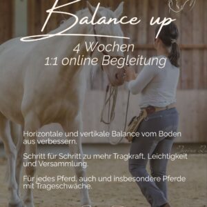 Balance up