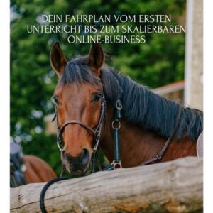 Der werdegang einer erfolgreichen trainerin 1