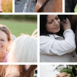 Blank 7 grids collage 1 870x440.png