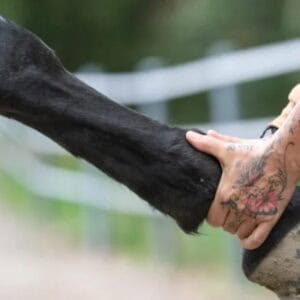 Dsc 0185 870x440.jpg