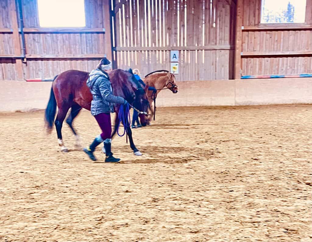 WhatsApp Image 2026 01 23 at 11.06.19