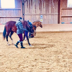 WhatsApp Image 2026 01 23 at 11.06.19