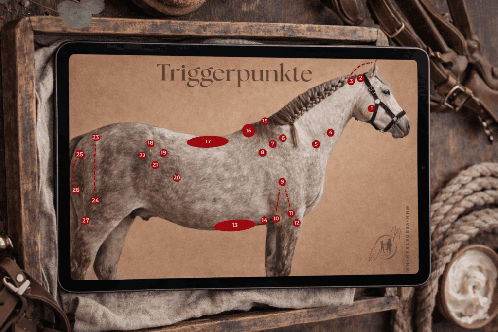 ChatGPT Image 24. Feb. 2026 22 11