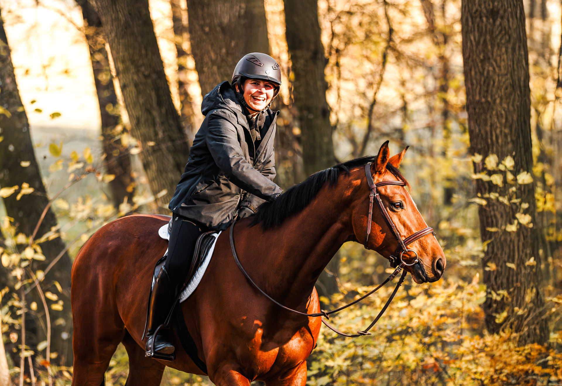 HorseFolk Kerssenbrock cLensOfHarmony