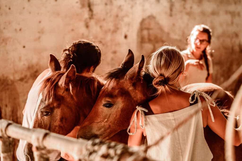 Cod 0464 Yoga and Horse in Prizzi Sicily 08 settembre 2025 Mazzaglia